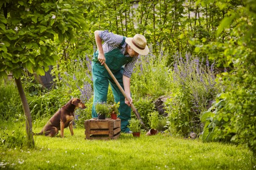 Updated cookie policy information for Tree Surgeons Eltham