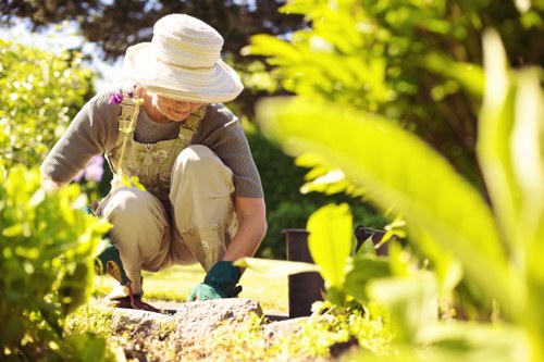 Local hedge maintenance for a boundary hedge in Eltham