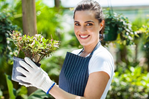 Transparent pricing and quote process for tree surgeons in Eltham