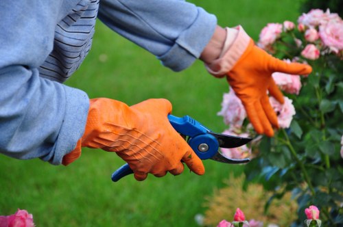 Local tree surgery work focused on safety and precision