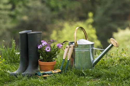 Free quote planning for tree surgery in Eltham