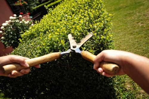 Arborists managing waste removal and site cleanup