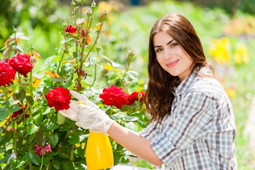 Professional Tree Surgeons Eltham supporting healthy landscapes