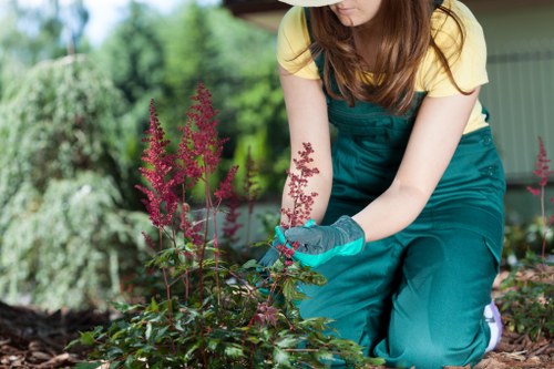 Careful hedge shaping for a home garden with limited access