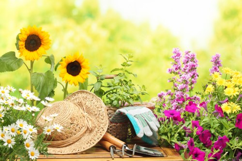 Stump grinding and tree maintenance services in Eltham